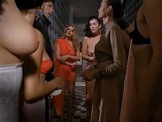 سلوینیا (1991) Tinto پیتل کی طرف سے
